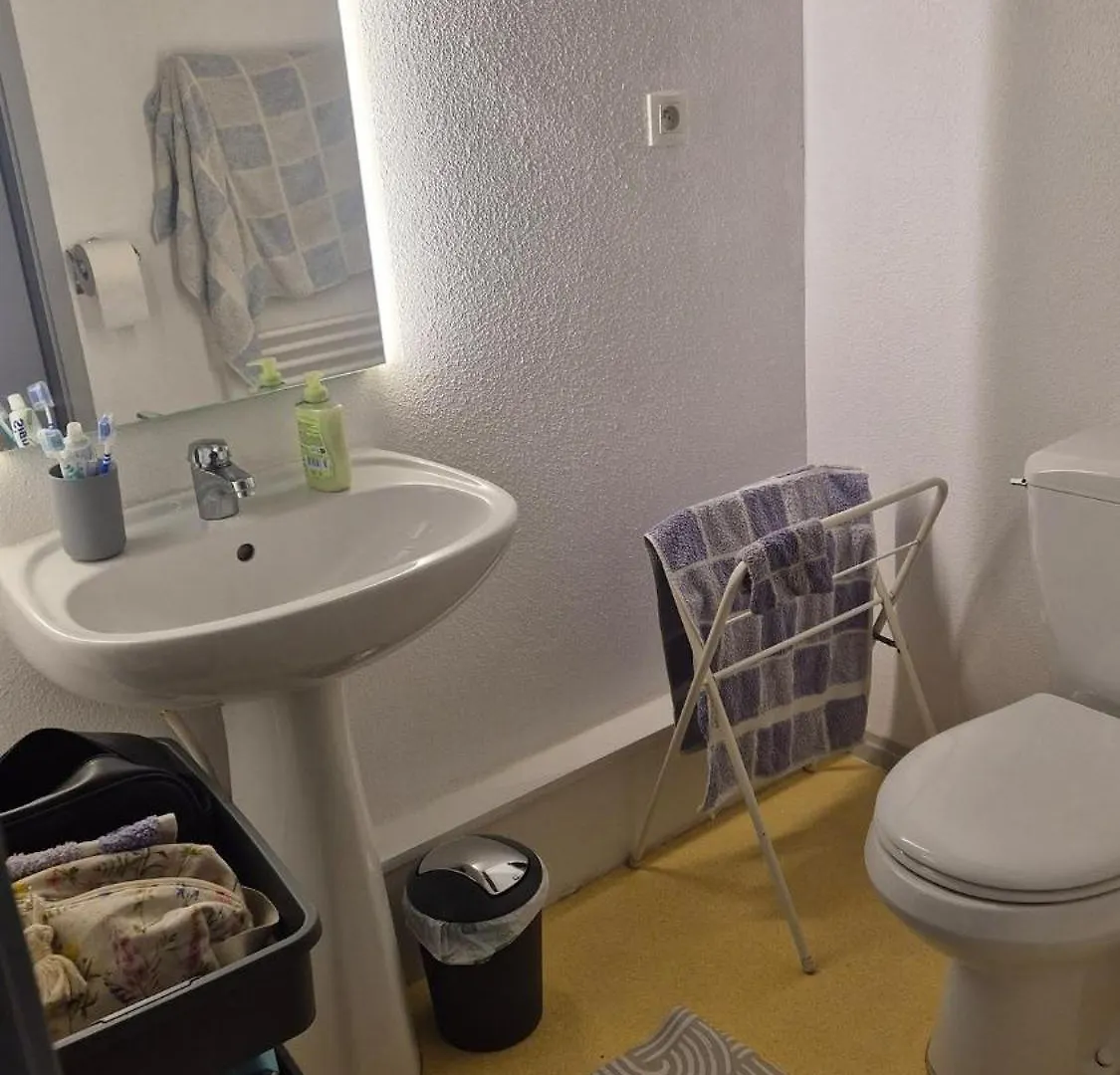 Duplex 55M2, 6 Personnes, Chiens Acceptes Apartment Arreau 0*,  France